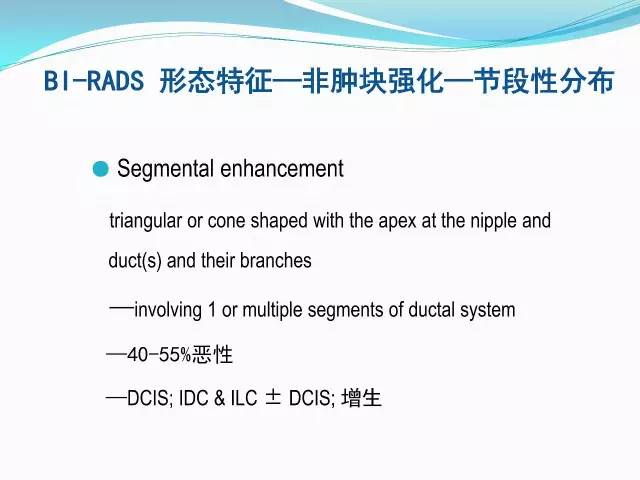 【PPT】新版乳腺MR BI-RADS术语及分类的解读