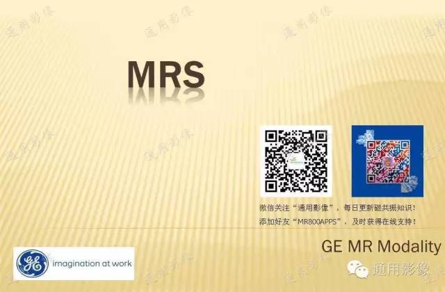 【PPT】MRS