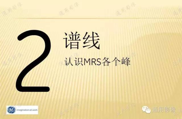 【PPT】MRS