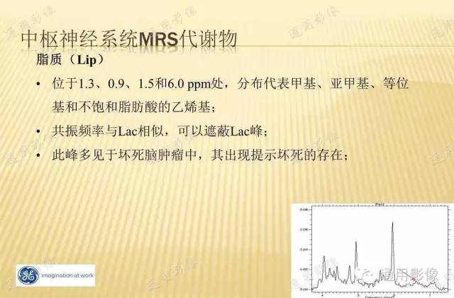 【PPT】MRS