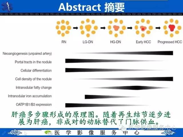 【PPT】肝癌生成过程中病理改变与MRI关系