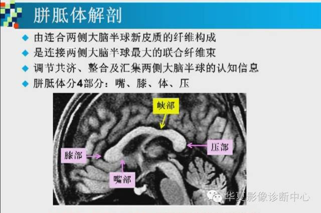 【PPT】胼胝体病变的MR诊断