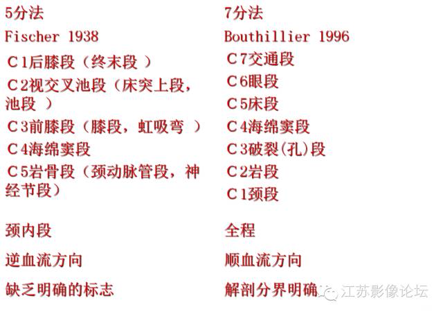 颈内动脉应用解剖 颈内动脉应用解剖