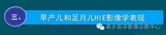 【PPT】新生儿缺氧缺血性脑病影像学表现