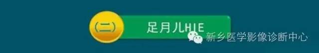 【PPT】新生儿缺氧缺血性脑病影像学表现