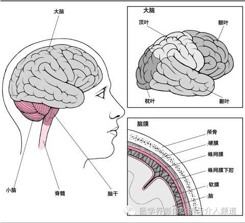 透过典型表现，轻松学头颅外伤CT