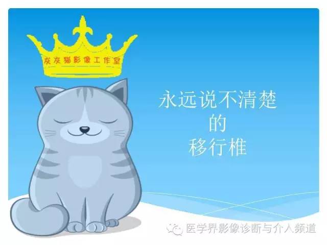 【PPT】永远说不清楚的移行椎