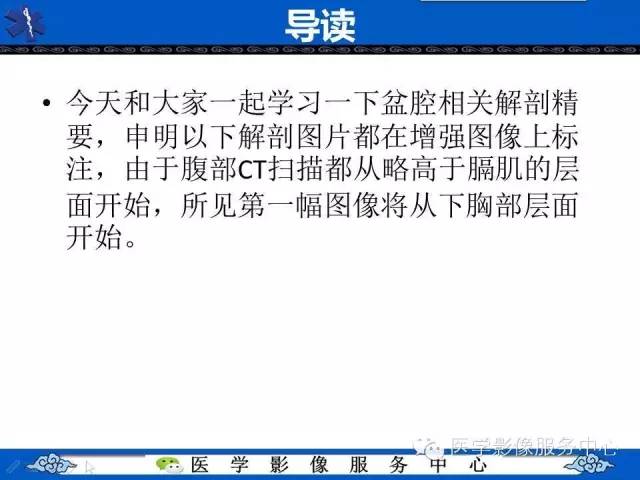 【PPT】盆腔解剖精要