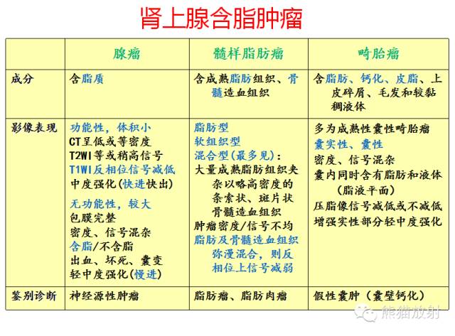 肾上腺含脂肿瘤 肾上腺含脂肿瘤