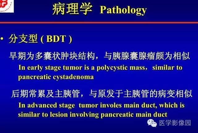【PPT】胰腺少、罕见病变