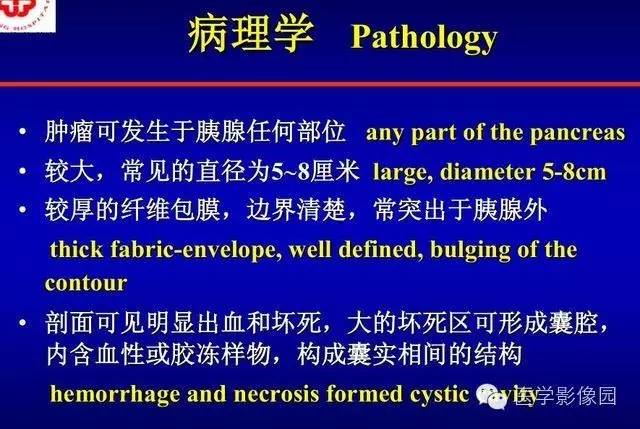【PPT】胰腺少、罕见病变