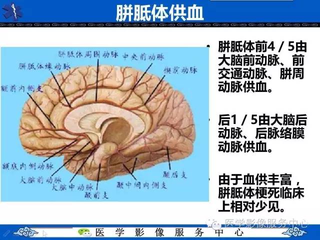 【影像征象】回力标征