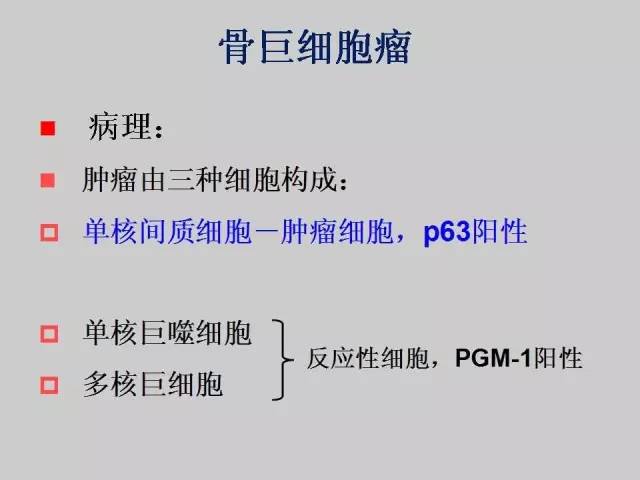 【PPT】2013版骨肿瘤WHO新分类及影像解读