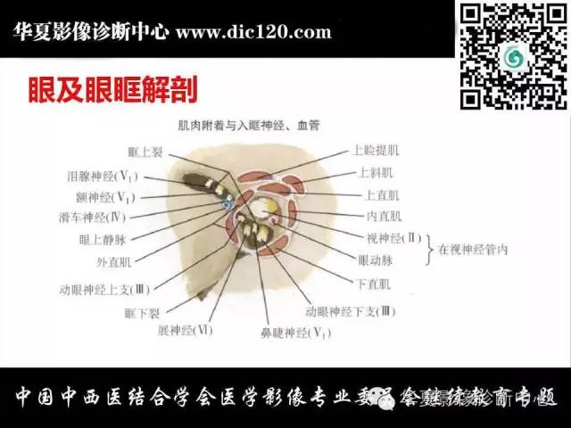 【PPT】眼及眼眶常见病变的影像诊断
