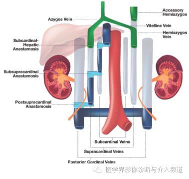 下腔静脉疾病影像诊断
