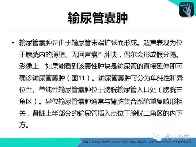 【PPT】胎儿卵巢囊肿：成像序列、鉴别诊断、治疗和结局综述