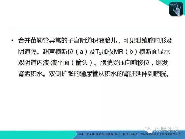 【PPT】胎儿卵巢囊肿：成像序列、鉴别诊断、治疗和结局综述