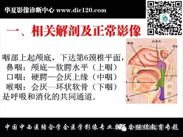 【PPT】鼻咽部疾病影像诊断与鉴别