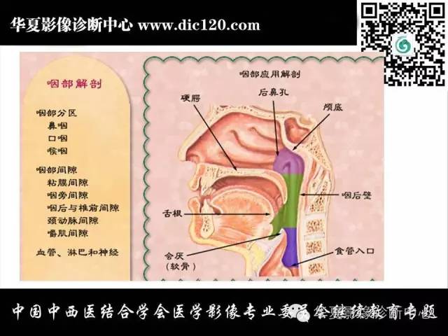 【PPT】鼻咽部疾病影像诊断与鉴别
