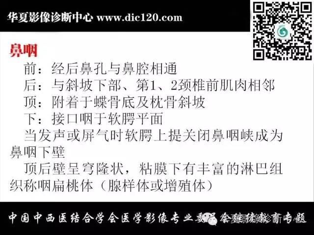 【PPT】鼻咽部疾病影像诊断与鉴别