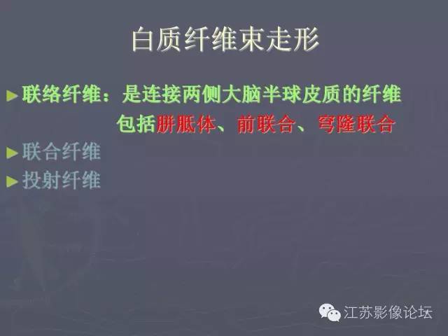 【PPT】磁共振DTI成像—联络纤维