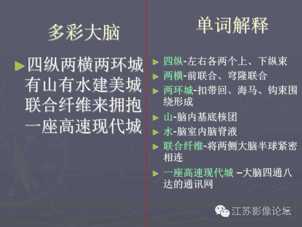 【PPT】磁共振DTI成像—联络纤维