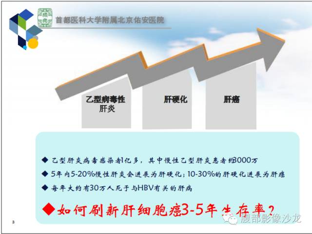 【PPT】HBV相关肝细胞癌演变MRI分级诊断