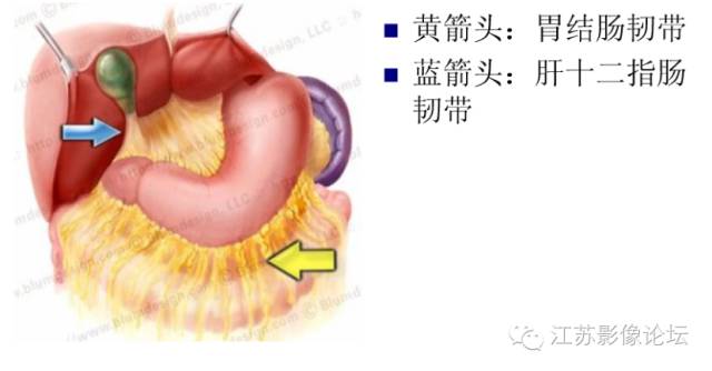 腹膜及肠系膜病变影像学分析 腹膜及肠系膜病变影像学分析