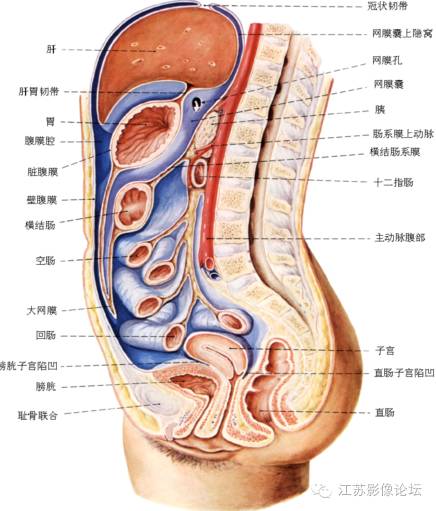 腹膜及肠系膜病变影像学分析 腹膜及肠系膜病变影像学分析