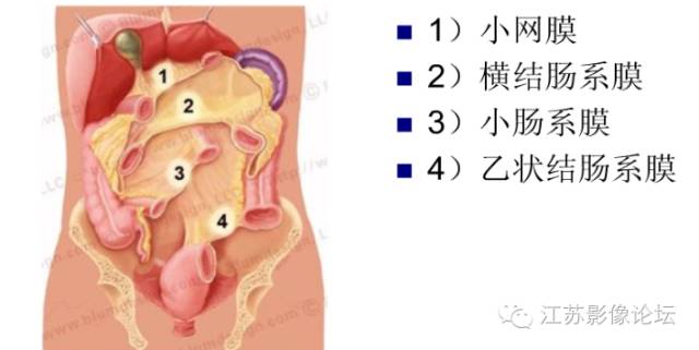 腹膜及肠系膜病变影像学分析 腹膜及肠系膜病变影像学分析