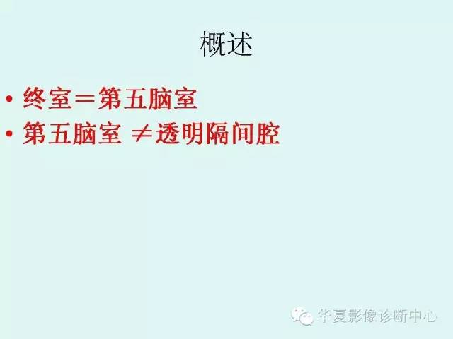 【病例】终室（第五脑室）1例MR影像表现