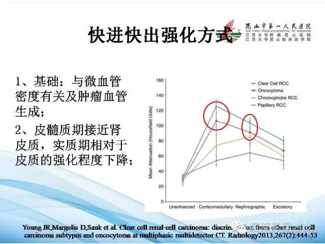 【PPT】透明细胞肾癌的诊断与鉴别
