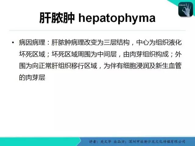 【PPT】精简版肝脏疾病的CT诊断