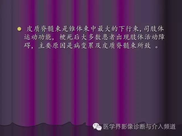 【PPT】联合应用DWI与DTI技术诊断缺血性小卒中及评估其预后