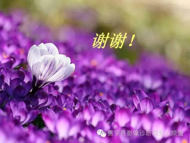 【PPT】联合应用DWI与DTI技术诊断缺血性小卒中及评估其预后