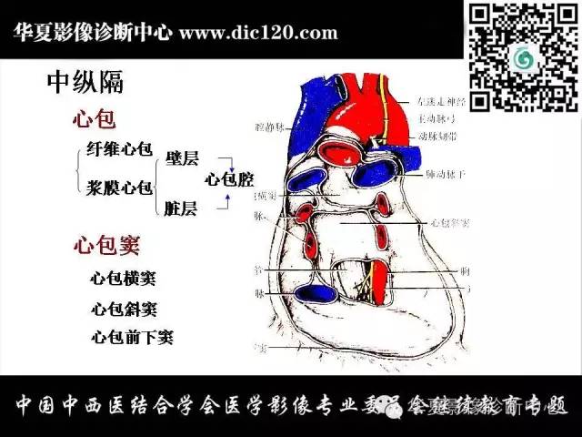 【PPT】纵隔疾病影像诊断和鉴别诊断