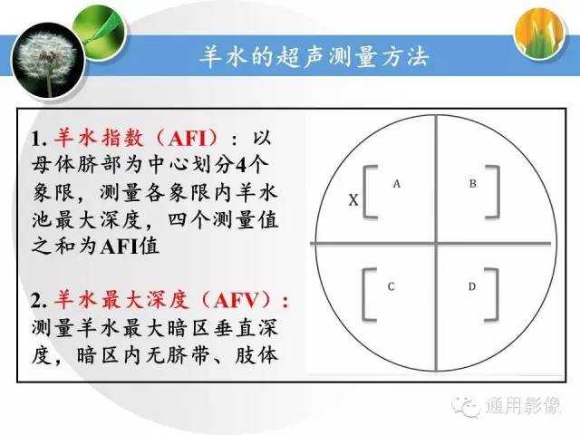 【PPT】异常妊娠的MRI表现