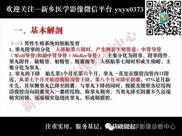 【PPT】阴囊病变影像诊断