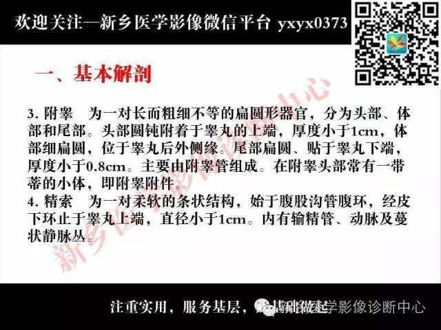 【PPT】阴囊病变影像诊断