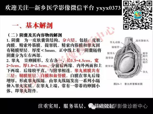 【PPT】阴囊病变影像诊断