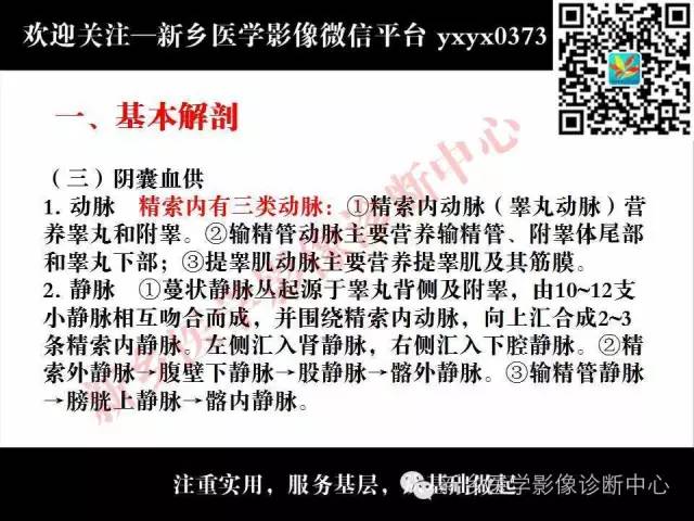 【PPT】阴囊病变影像诊断