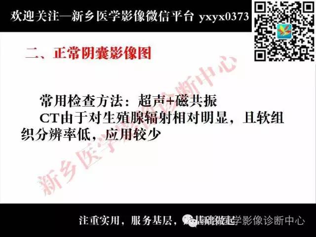 【PPT】阴囊病变影像诊断