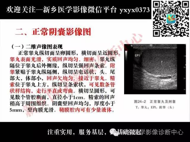 【PPT】阴囊病变影像诊断