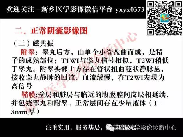 【PPT】阴囊病变影像诊断