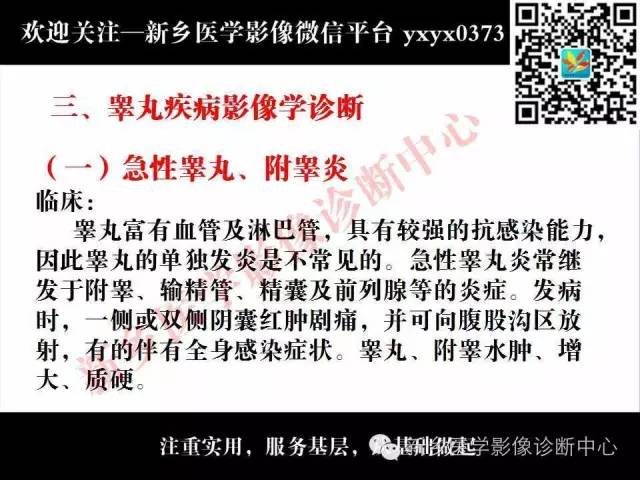 【PPT】阴囊病变影像诊断