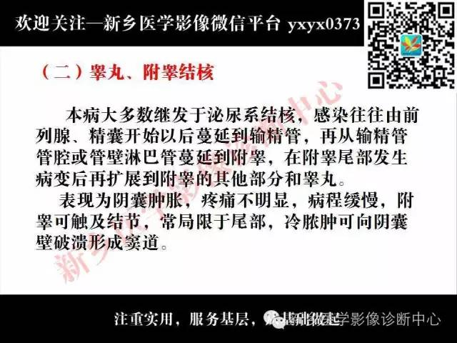 【PPT】阴囊病变影像诊断