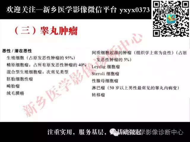 【PPT】阴囊病变影像诊断