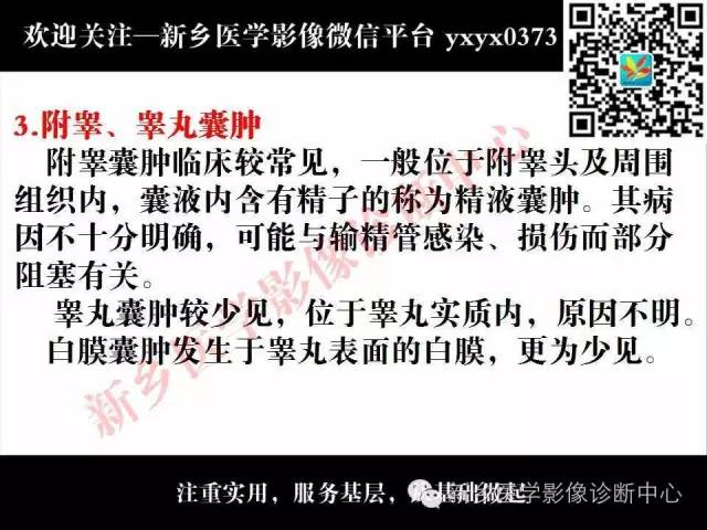 【PPT】阴囊病变影像诊断