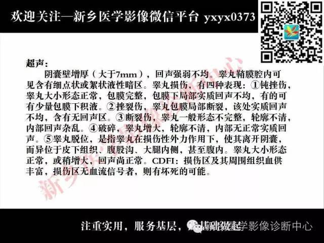 【PPT】阴囊病变影像诊断