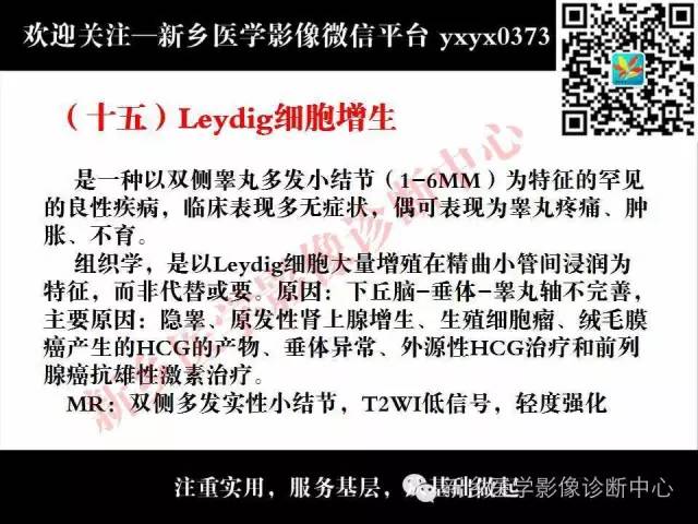【PPT】阴囊病变影像诊断